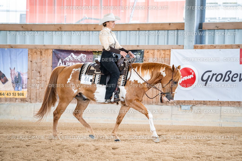 DSC02265 | Pferdegrafie