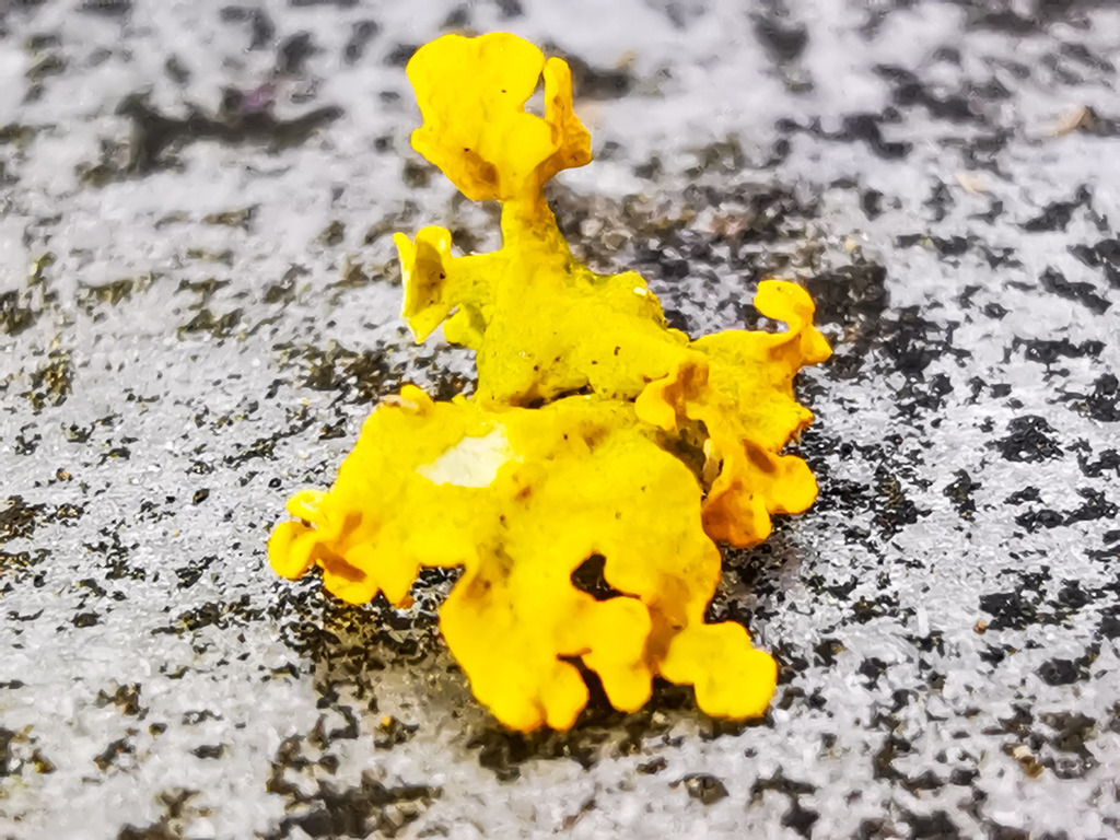 PSX_20230221_224450 | mtkfoto_ - Realisiert mit Pictrs.com