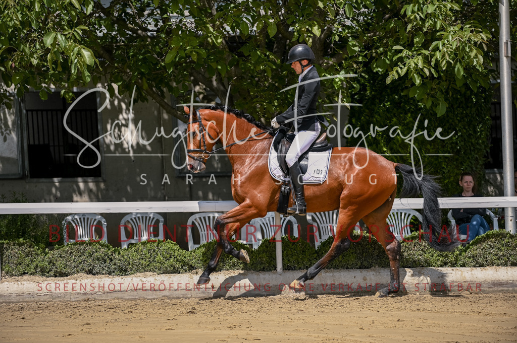 Schugtsche-Aluta25-48.Reitpferfdeprf.-231 | Schugtsche Fotografie - Realisiert mit Pictrs.com