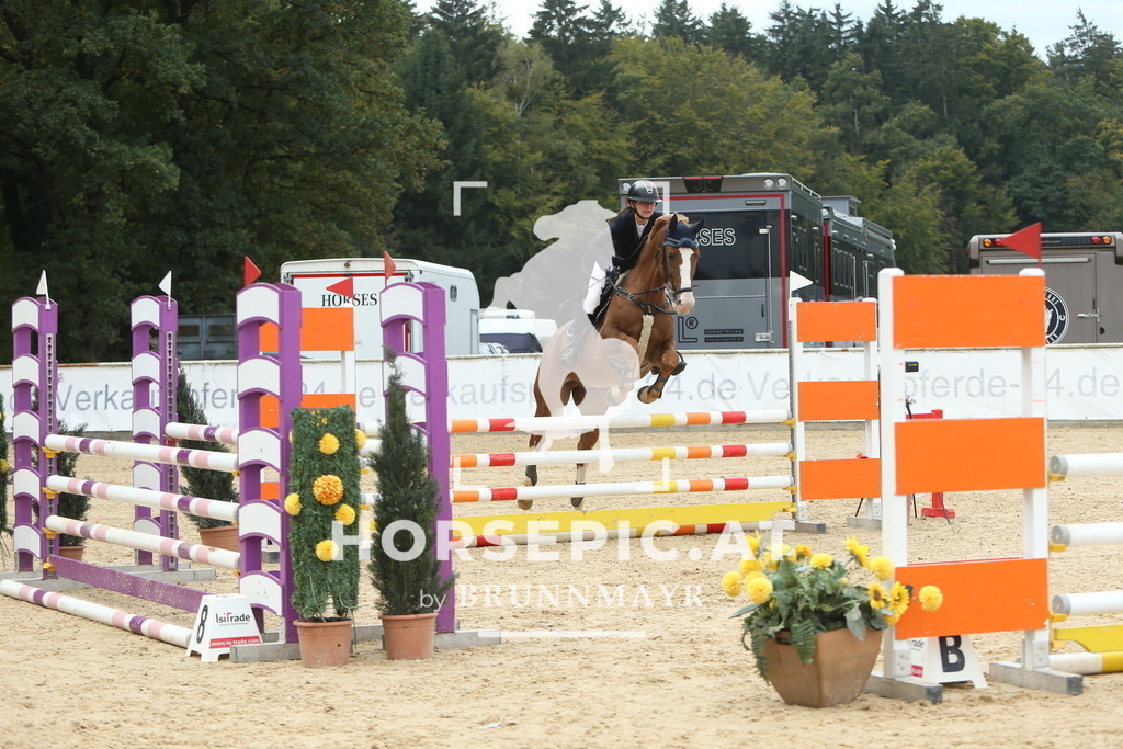 DL2Q6462 | Willkommen bei Brunnmayr - Design & Fotografie – Ihrem Spezialisten für Reitturniere und Pferdeveranstaltungen in Oberösterreich, Salzburg und Bayern! Seit über 17 Jahren sind wir leidenschaftlich dabei.