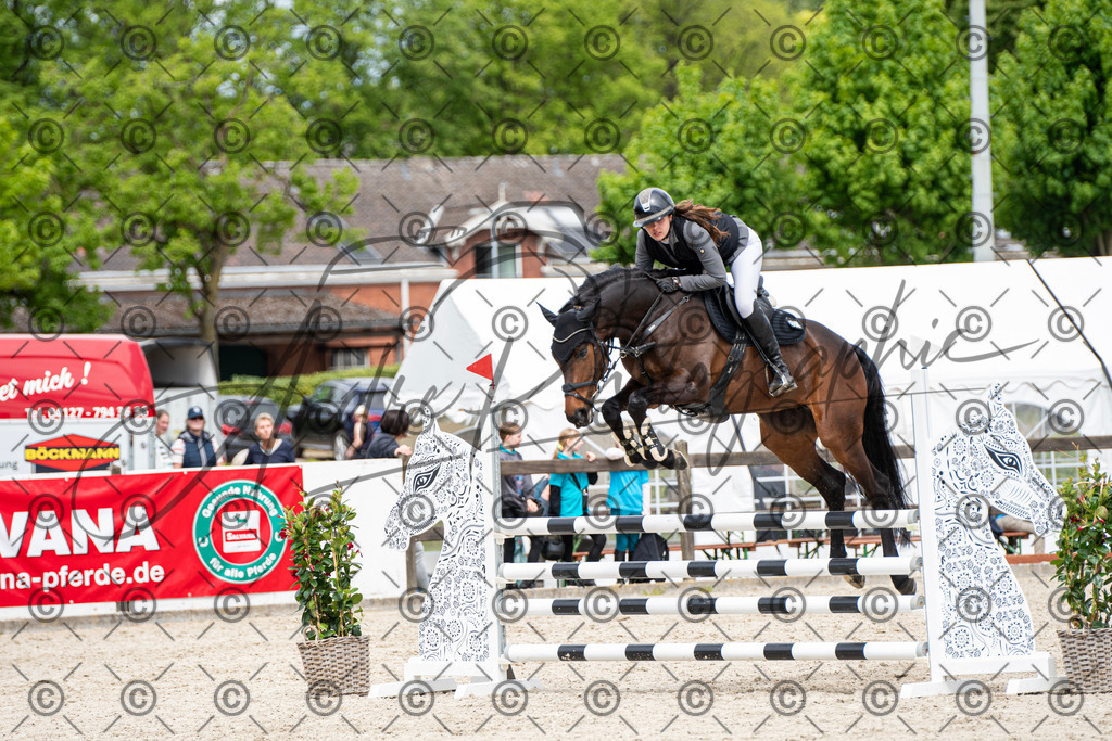 KPT_5483 | andre_photographic