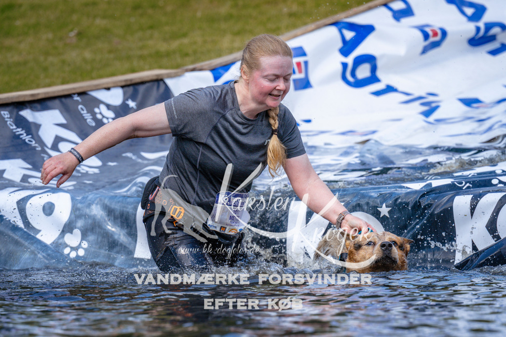 _ZZ996301057 | kk-dogfotos