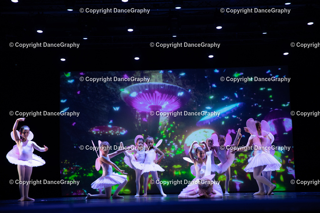 GPHY4752 | DanceGraphy - Realisiert mit Pictrs.com