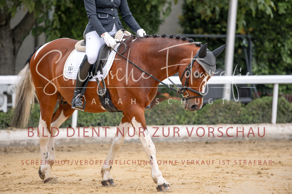 Schugtsche-Aluta25-41.Amat-Dressurprf.A_-67 | Schugtsche Fotografie - Realisiert mit Pictrs.com