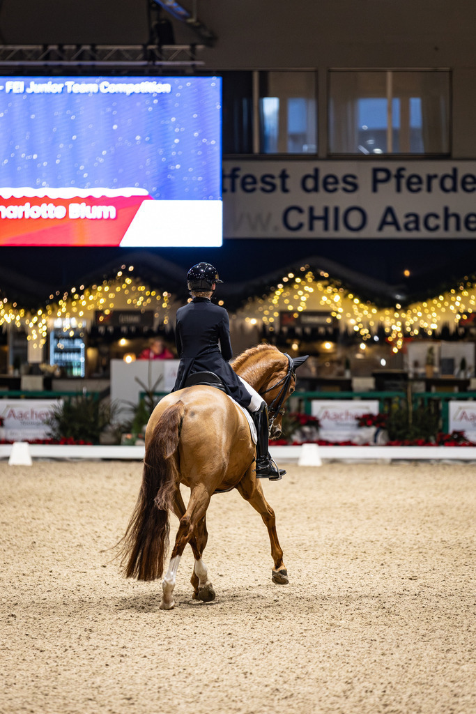 126A8166 | jasminmetznerfotografie