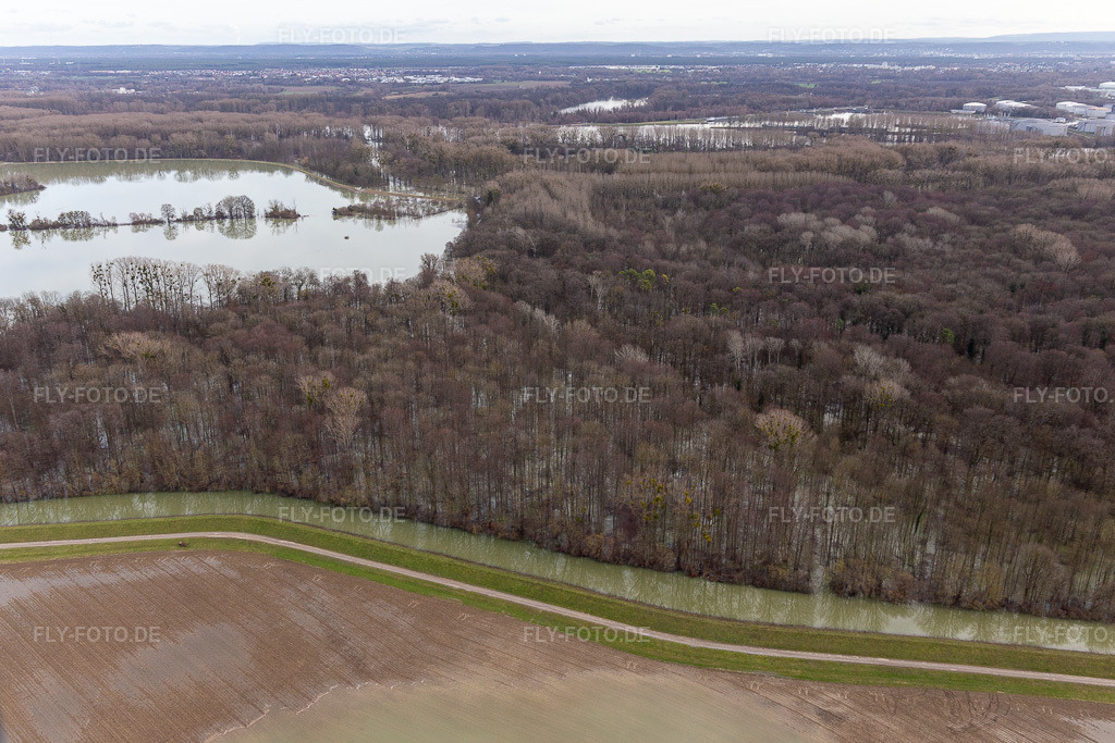 Luftbild: Überfluteter Altrhein / Polder Neupotz in Wörth am Rhein im Bundesland Rheinland-Pfalz in Deutschland. Foto: IMG_124208.jpg vom 04.02.2021 durch Werner Riehm/FLY-FOTO.de