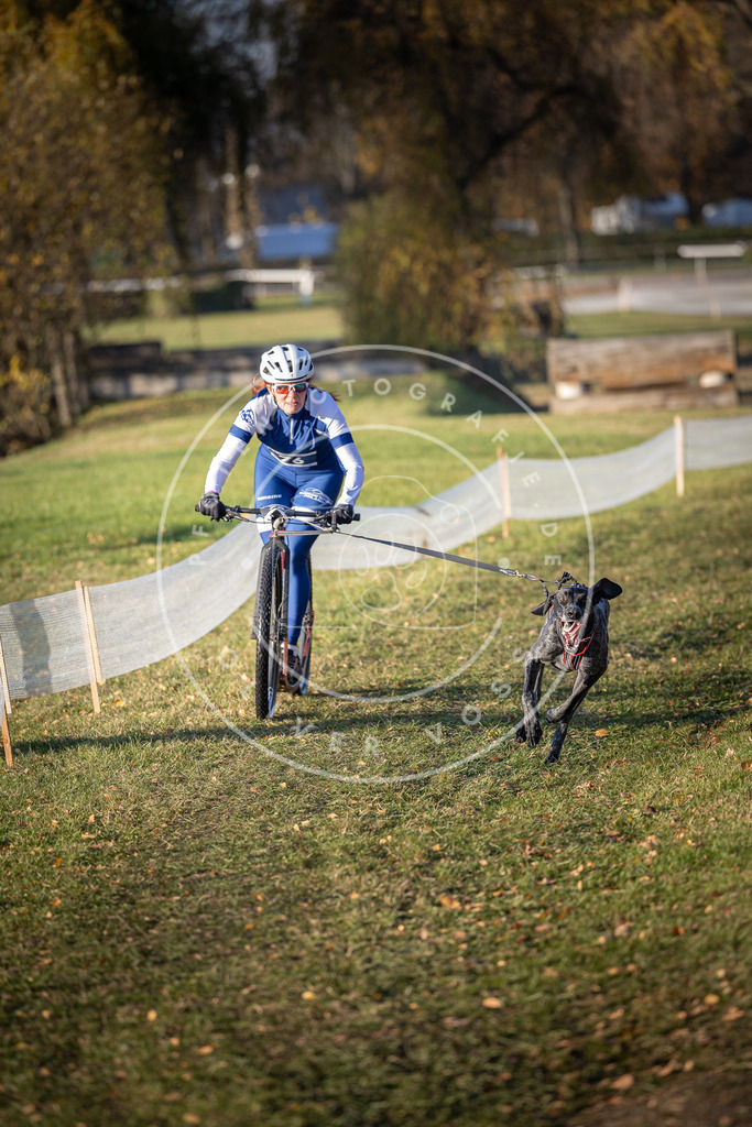 CaniXpix_DV3A1396 | Hundefotografie, Tierfotograf, Pfotenfotografie, Fotoshooting Hund, Hunde Portrait, Hundesport, Hundeportraits, Heideshooting, Hunde, Sportfotograf, Hundefotograf, Turnierhundsport, THS,  - Realisiert mit Pictrs.com