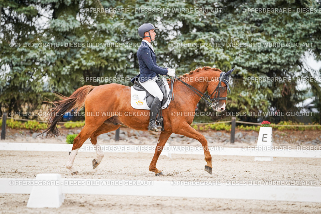 DSC08512 | Pferdegrafie