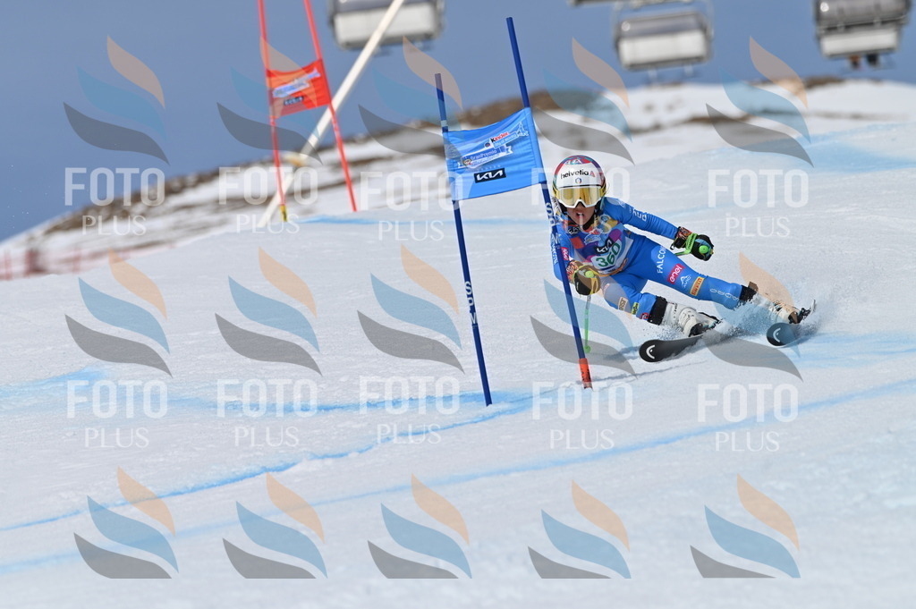 BGV_7117 | holidayphoto