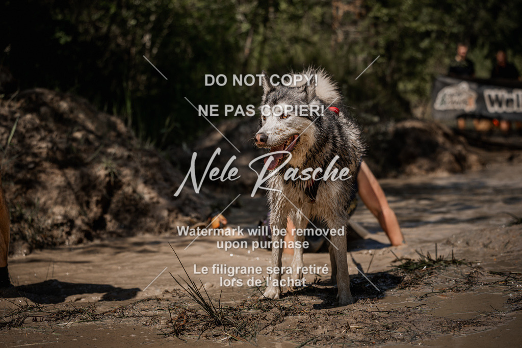 nelerasche_Hoope2026_Sa1330-1400_314 | nelerasche