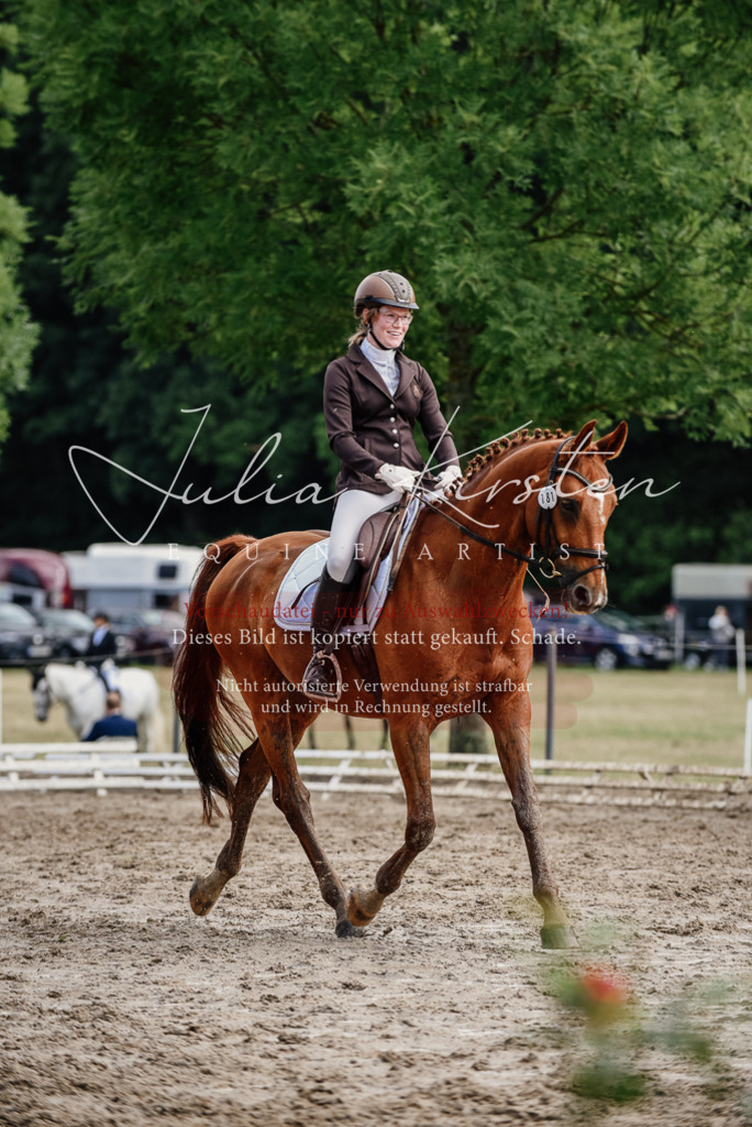 DSC_9675 | Pferde- und Turnierfotografie in Westsachsen. Pferdeportraits, Auftragszeichnungen und intuitive Kunst.