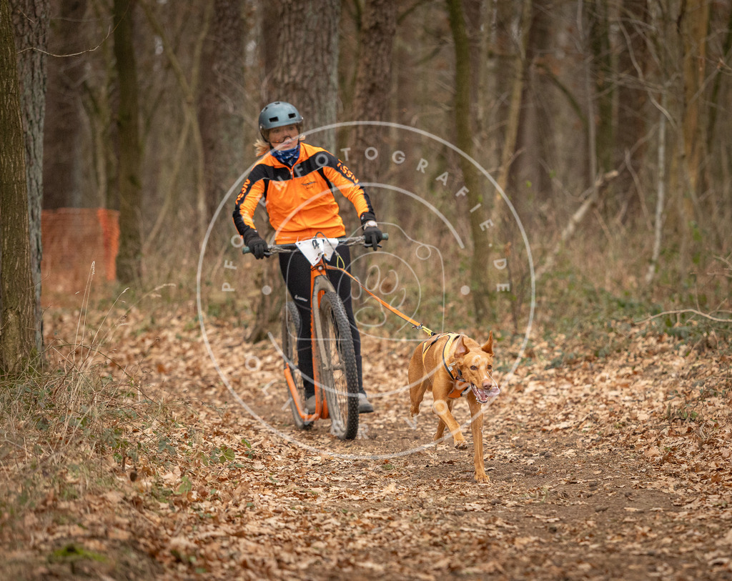 Pfotenfotografie_DV3A0736 | Hundefotografie, Tierfotograf, Pfotenfotografie, Fotoshooting Hund, Hunde Portrait, Hundesport, Hundeportraits, Heideshooting, Hunde, Sportfotograf, Hundefotograf, Turnierhundsport, THS,  - Realisiert mit Pictrs.com