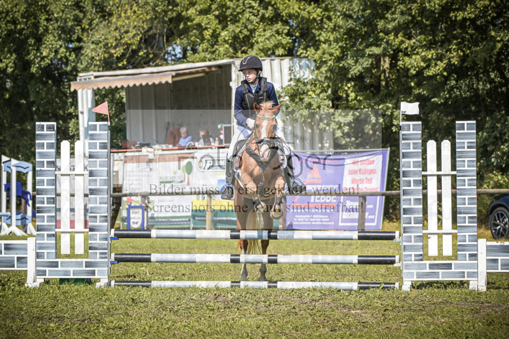 DOS_0277 | Entdecke hochwertige Reitturnierfotos von Foto Oger. Professionell, emotional und authentisch – jetzt Lieblingsmomente im Shop bestellen.Deutschlandweite Turnierfotografie. - Realisiert mit Pictrs.com