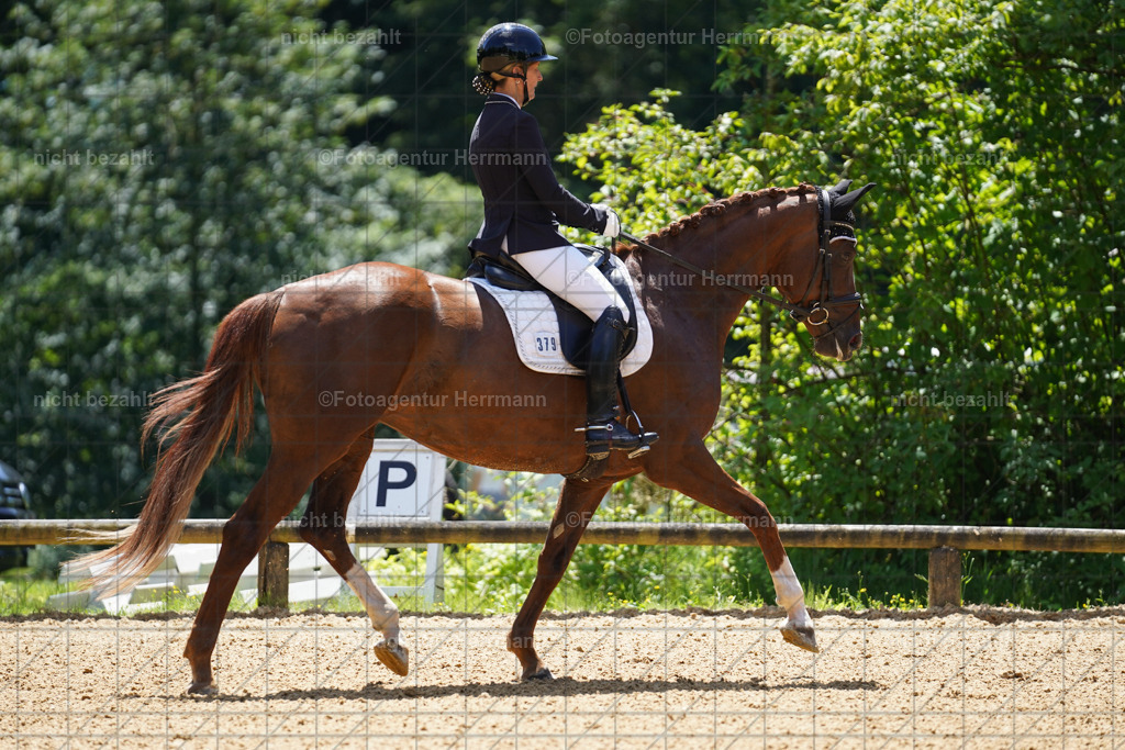20240705-FAH03838 | Turnierbilder von Grafing, Reitsportbilder, Turnierfotos, Turnierfotografen Bayern, Pferdefotograf, Fotoagentur Herrmann