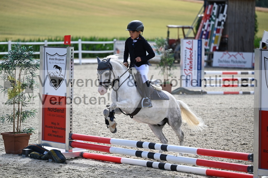 DSC_5023 | equestrian-live-com