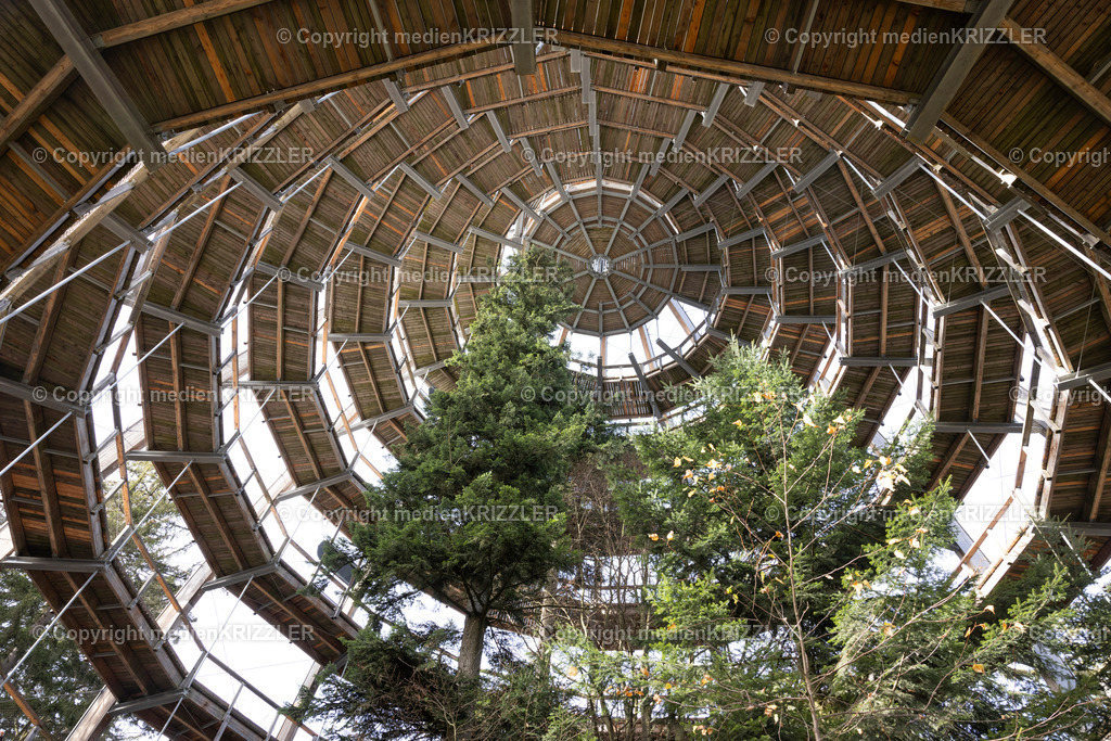 _J3A9118 | medienkrizzler - Realisiert mit Pictrs.com