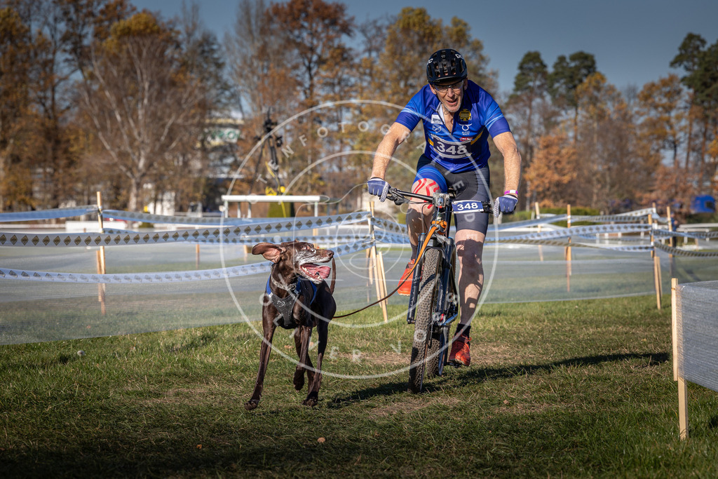 CaniXpix_0L8A6023 | Hundefotografie, Tierfotograf, Pfotenfotografie, Fotoshooting Hund, Hunde Portrait, Hundesport, Hundeportraits, Heideshooting, Hunde, Sportfotograf, Hundefotograf, Turnierhundsport, THS,  - Realisiert mit Pictrs.com