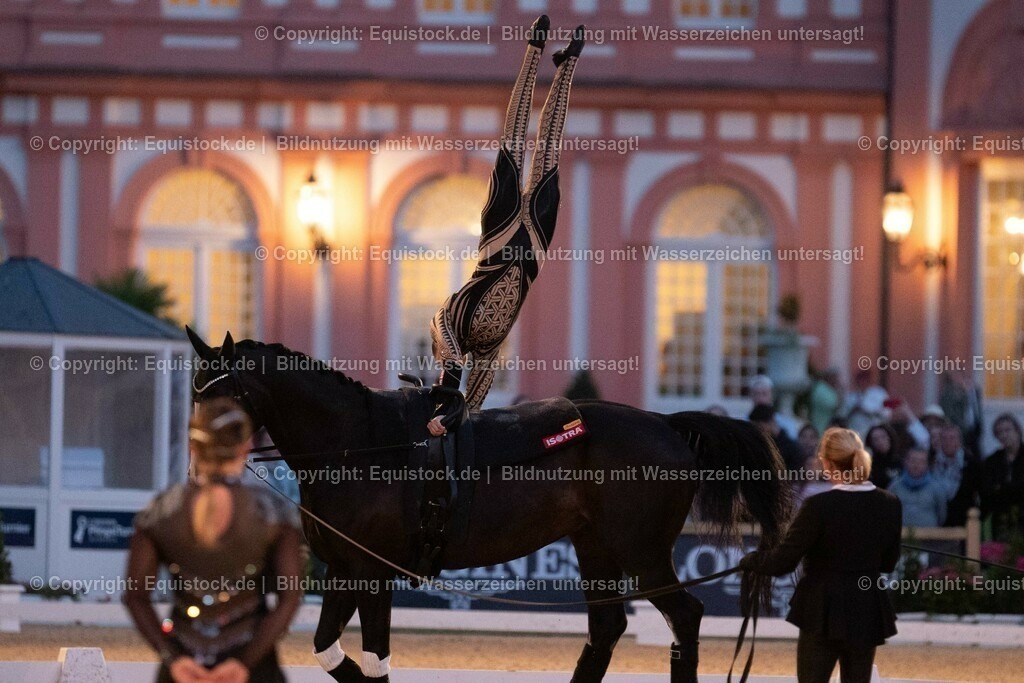 20230527_Voltigieren_NASPA_Flutlicht_0552 | equistock