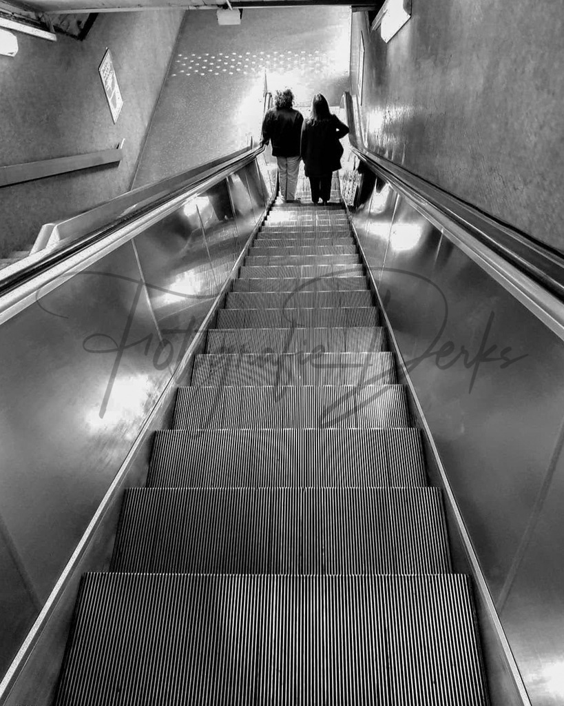 Bilder Homepage-72 | fotografie-derks - Realisiert mit Pictrs.com