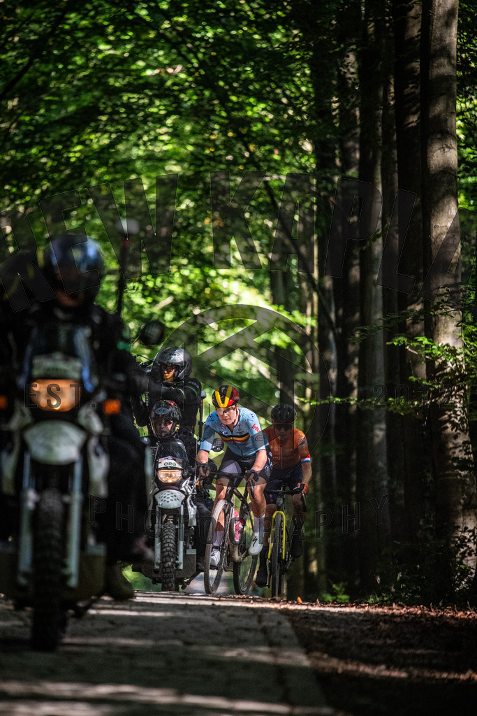 DKP-5047 | Drew Kaplan Photography