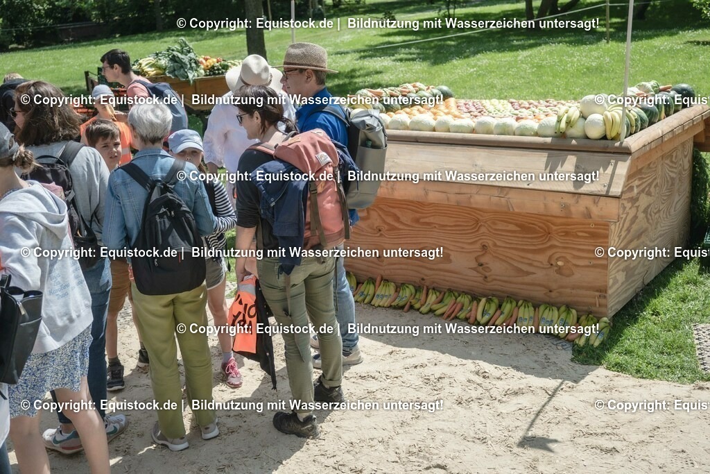 ZFC_3989 | equistock