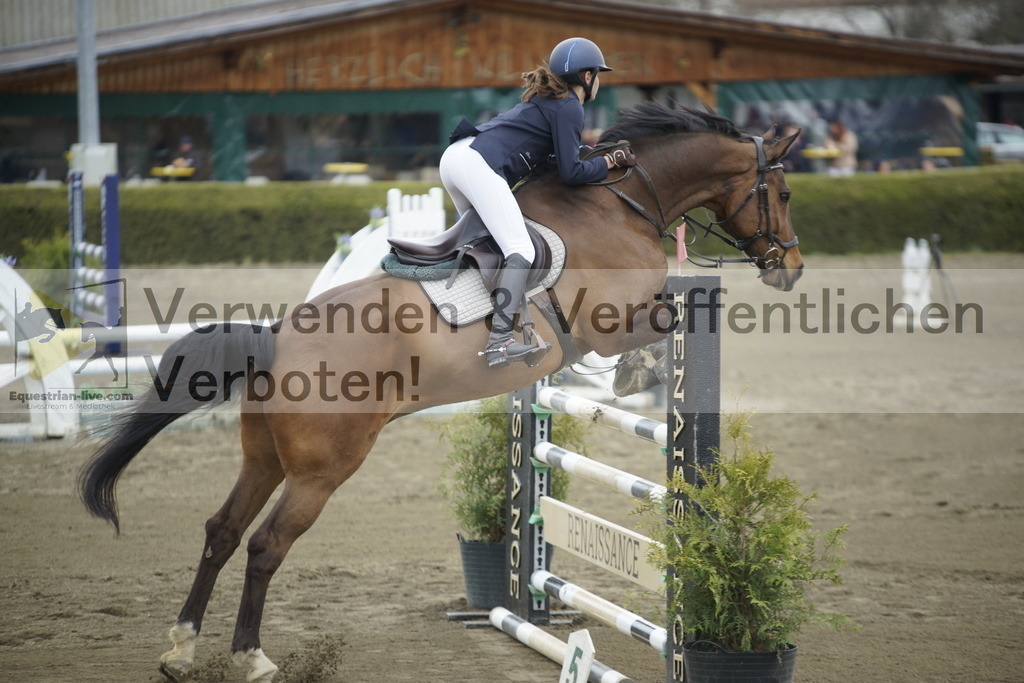 _DSC7286 | equestrian-live-com