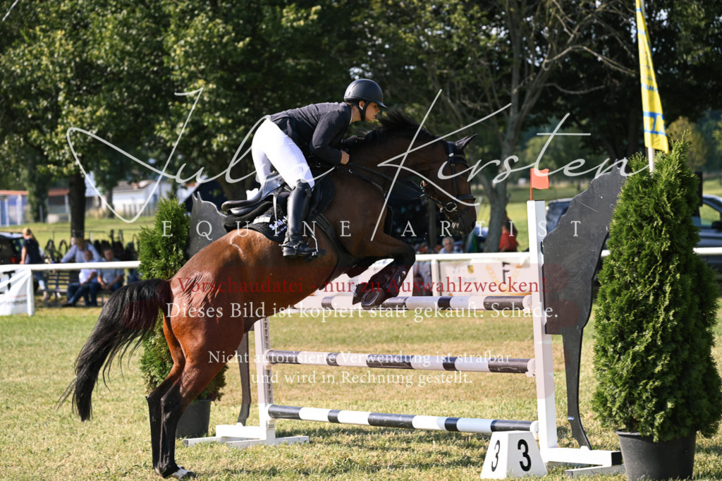 DSC_1451 | Pferde- und Turnierfotografie in Westsachsen. Pferdeportraits, Auftragszeichnungen und intuitive Kunst.