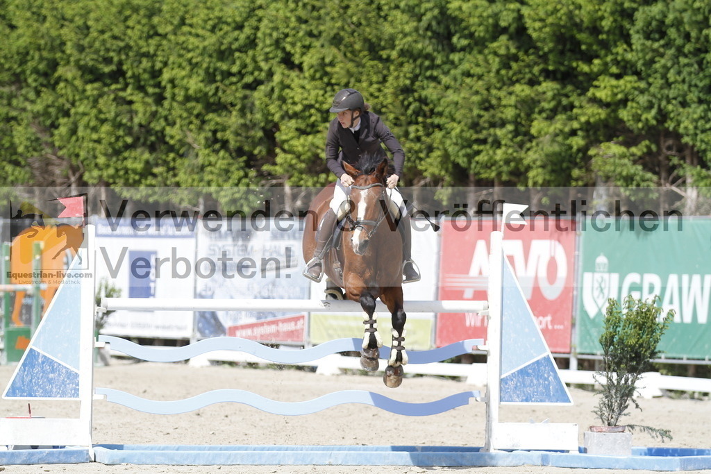 _MG_0385 | equestrian-live-com