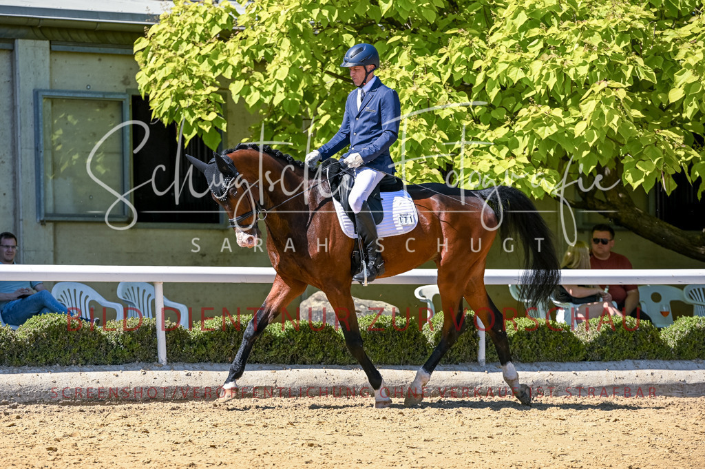 Schugtsche-Aluta25-50.Dressurpferdeprf.L-28 | Schugtsche Fotografie - Realisiert mit Pictrs.com