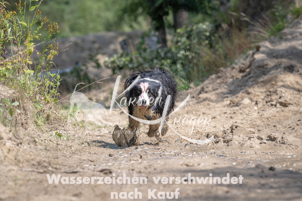 1204_ZZ91408 | kk-dogfotos