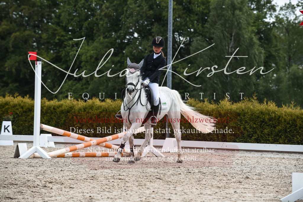 20230518_JK-Röhrsdorf-10-228 | Pferde- und Turnierfotografie in Westsachsen. Pferdeportraits, Auftragszeichnungen und intuitive Kunst.