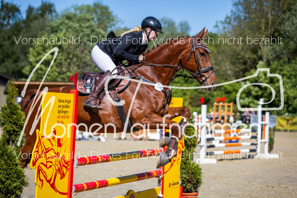 Donop24-A2Spr-133 | MomenTaufnahmen Pferdesportfotos