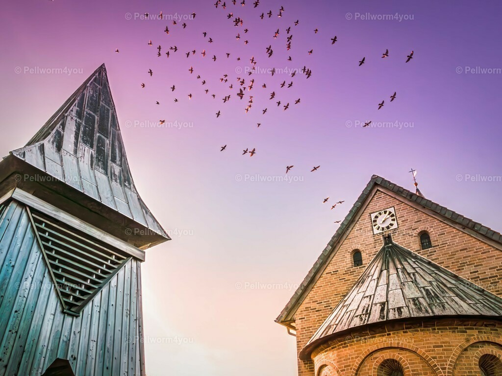 pellworm-kalender-2024-02-denoise-enhance-2x-sharpen | Pellwormer Bilder und Fotos als Poster, auf Leinwand mit Keilrahmen, hinter Acrylglas, auf Alu-Dibond oder Forex-Platte und vieles mehr. Zum verschenken, für die Ferienwohnung oder für zu Hause. - Realisiert mit Pictrs.com