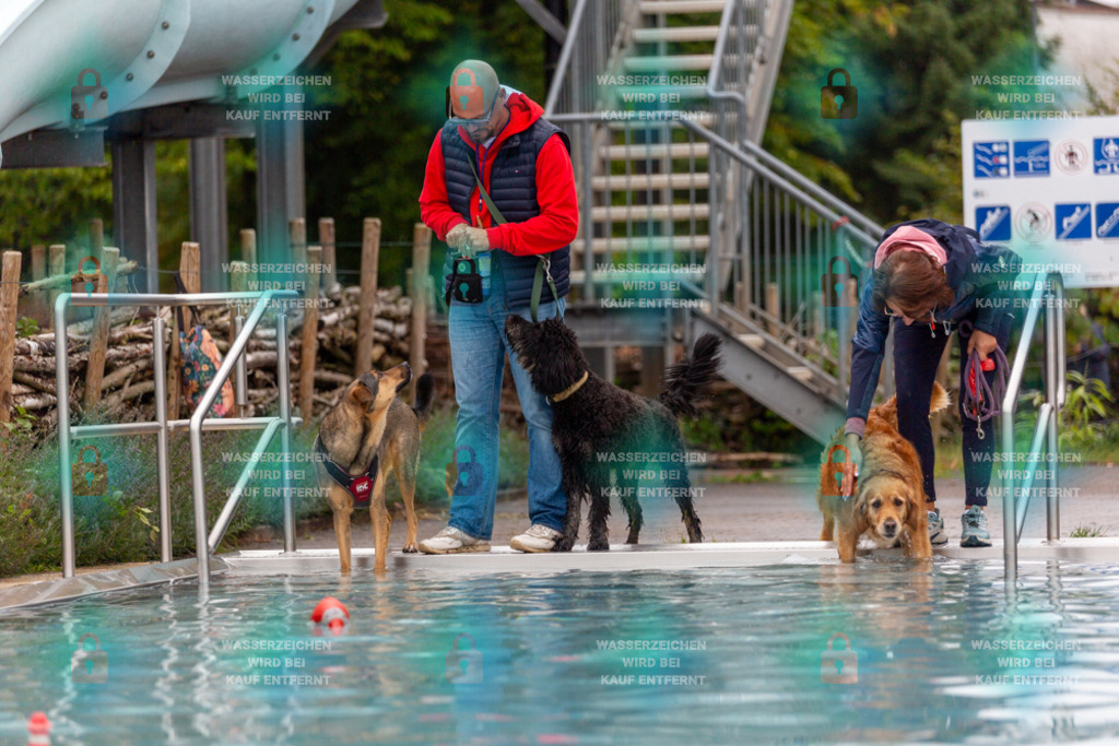 _HP_7157_1000o | HetPix, HetPix Fotodesign, Fotografie, Fotodesign, Webshop, Sportfotografie, Portraitfotografie, Onlineshop, Sportfotografie, Polch, Motorsportfotografie, Eventfotografie