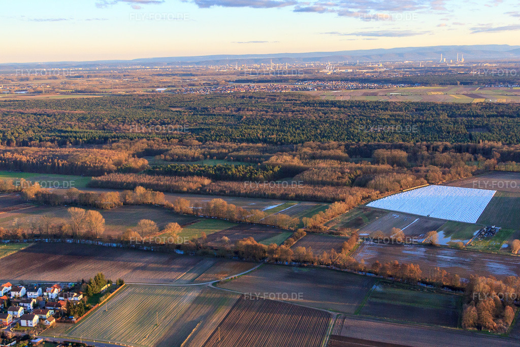 Luftbild: Bienwald am Klingbach, Rottenbach und Saugraben in Herxheim bei Landau im Bundesland Rheinland-Pfalz in Deutschland. Foto: IMG_62291.jpg vom 23.02.2014 durch Werner Riehm/FLY-FOTO.de