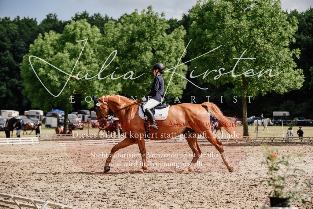 DSC_0028 | Pferde- und Turnierfotografie in Westsachsen. Pferdeportraits, Auftragszeichnungen und intuitive Kunst.