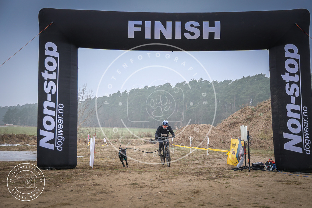 Pfotenfotografie_0L8A2428 | Hundefotografie, Tierfotograf, Pfotenfotografie, Fotoshooting Hund, Hunde Portrait, Hundesport, Hundeportraits, Heideshooting, Hunde, Sportfotograf, Hundefotograf, Turnierhundsport, THS,  - Realisiert mit Pictrs.com