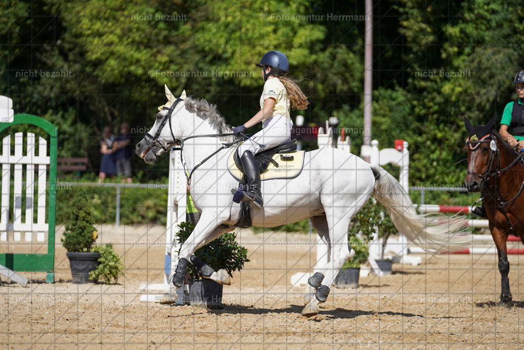 20240824-FAH08214 | Thierhaupten 2024, Bayerisches Landesponyturnier, Turnierbilder, Ponybilder, Turnierfotografen Bayern, Fotoagentur Herrmann