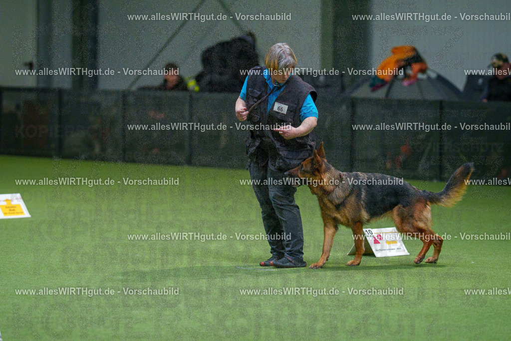 7R507965 | Professionelle Tierfotografie in Mönchengladbach von Daniel Wirth (allesWIRTHgut). Liebevolle & natürliche Bilder von Hunden & Katzen für unvergessliche Erinnerungen.
