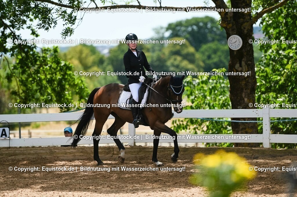 20230715_09_Dressur-WB_0471 | equistock