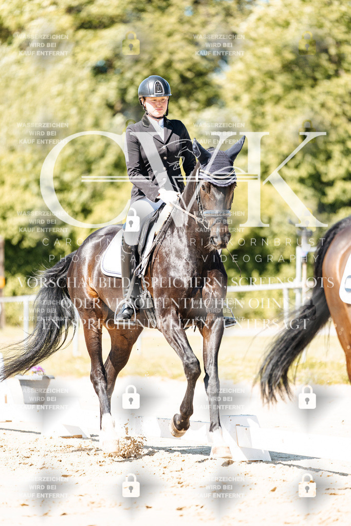 CK905090 | Turnierfotografie Pferdefotografie Trier Rheinland-Pfalz Pferdesport Reitsport Tierfotografie Sportfotografie Pferdevideo Pferdevideografie Equestrianvideography equestrianphotography  - Realisiert mit Pictrs.com
