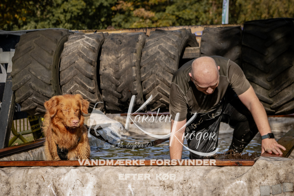 1310_ZZ92104 | kk-dogfotos