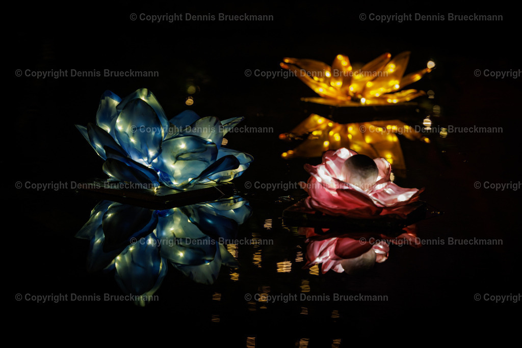 Winterlichter 2023/24 | Dennis-Brueckmann-Fotografie - Realisiert mit Pictrs.com