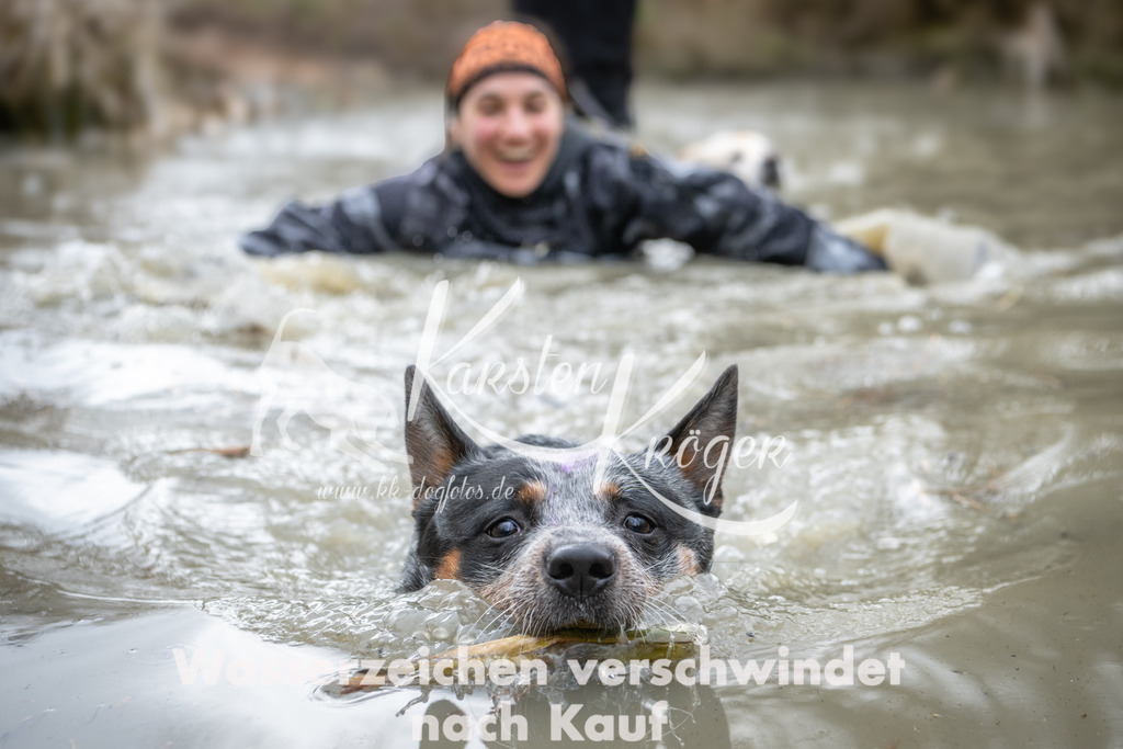 1129_ZZ99503 | kk-dogfotos