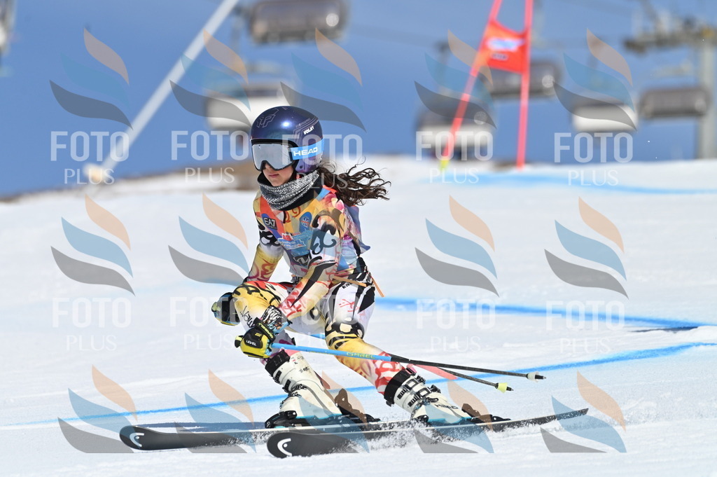 BGV_8985 | holidayphoto