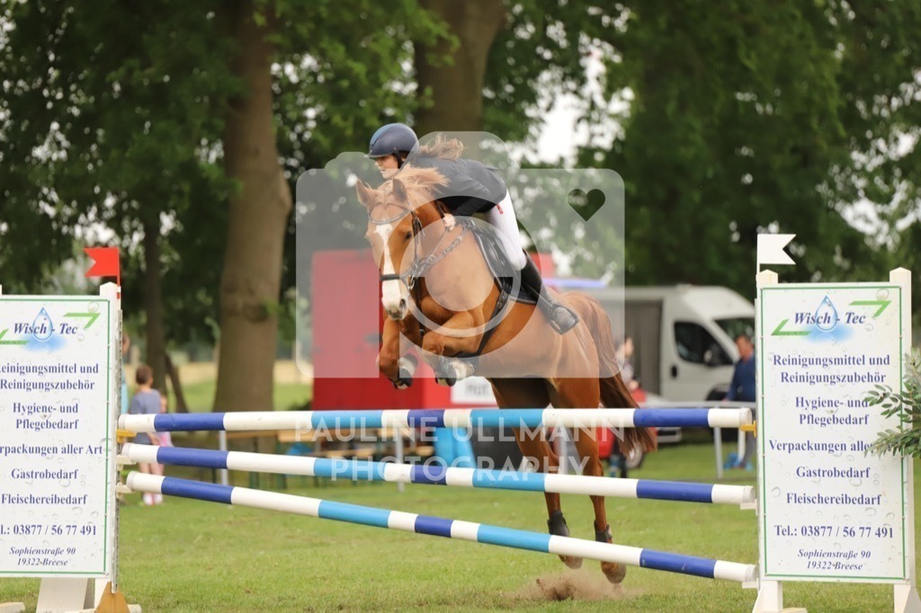 IMG_7647 | Pauline Ullmann Photography - Realisiert mit Pictrs.com