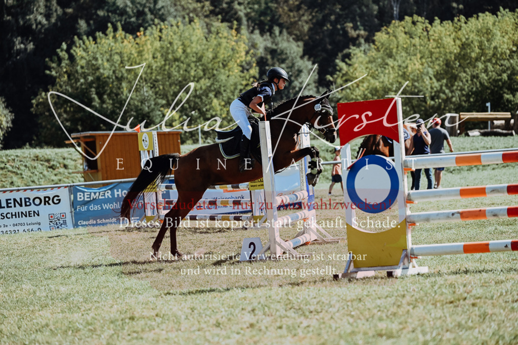DSC_6733 | Pferde- und Turnierfotografie in Westsachsen. Pferdeportraits, Auftragszeichnungen und intuitive Kunst.
