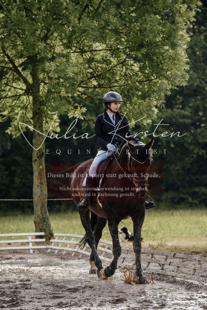 DSC_8558 | Pferde- und Turnierfotografie in Westsachsen. Pferdeportraits, Auftragszeichnungen und intuitive Kunst.