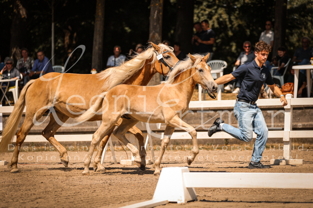 06.DoH00022 | Leoni Ertmer Photography - Realisiert mit Pictrs.com