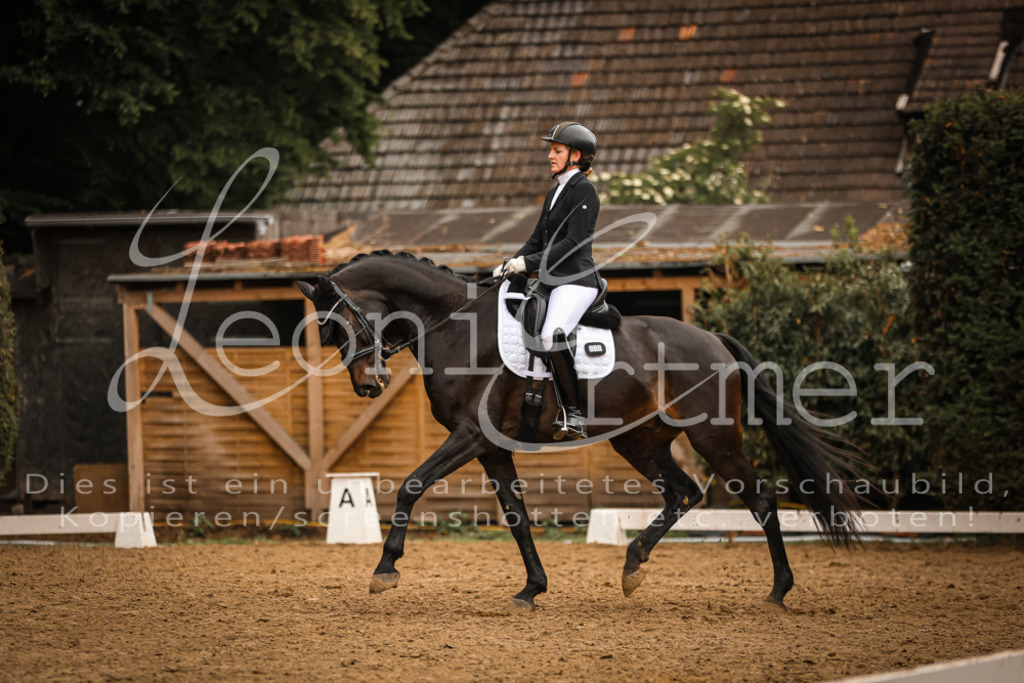 DoDrA200078 | Leoni Ertmer Photography - Realisiert mit Pictrs.com